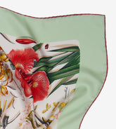 Archivio n.15 Erbario - Classic carré